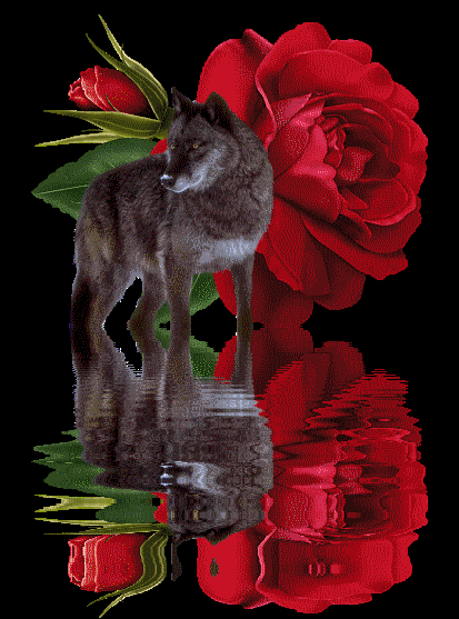 flower_and_wolf-3250.gif