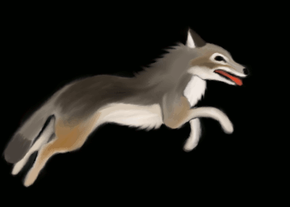 Animation__Wolf_running_by_SundsArt.gif