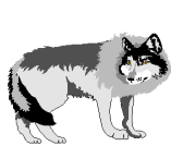 82abf32a24_7491555_o2.gif
