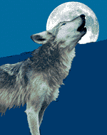 5a850cb26b_5511663_o2.gif