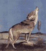 1a62b348d5_5511596_o2.gif