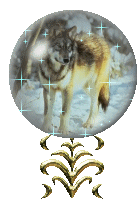 d10f846a29_7491604_o2.gif