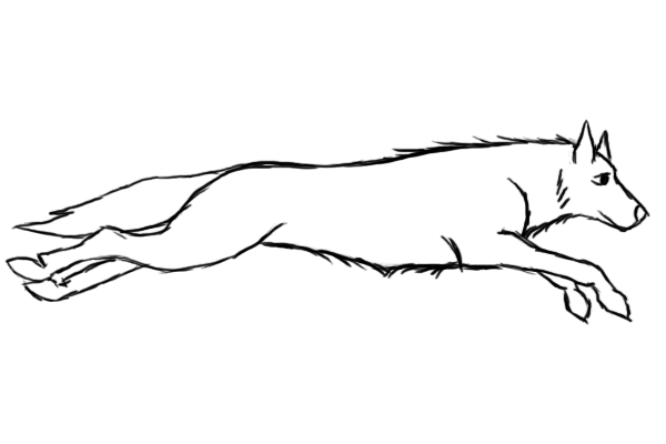 Running_Wolf_Animation_Test_2_by_KristinaMattson.gif
