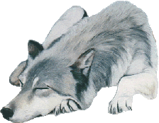 0307fb97d6_17326553_o2.gif