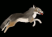 Animation__Wolf_running_by_SundsArt.gif