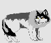 82abf32a24_7491555_o2.gif
