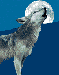 5a850cb26b_5511663_o2.gif