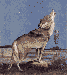 1a62b348d5_5511596_o2.gif