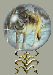 d10f846a29_7491604_o2.gif