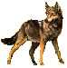 9c4f82b46f_17326533_o2.gif