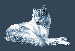 e44333f139_17326618_o2.gif