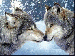 b0ff242ca5_45784509_o2.gif